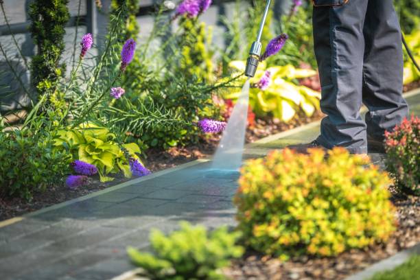 Best Winterizing Services  in Inverness Highlands South, FL
